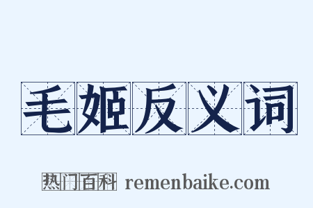 毛姬反义词是什么意思的图片